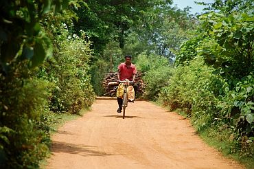 A man returns to his village after gathering wood from the jungle