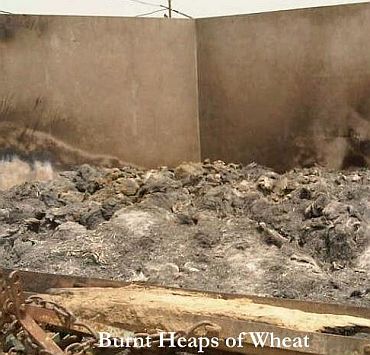 Burnt heaps of wheat