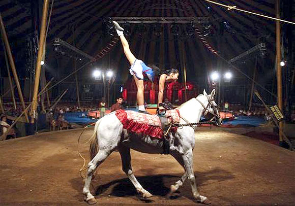 THE BIG TOP: The circus comes to town