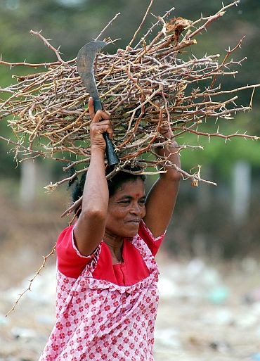 A Sri Lankan refugee woman carries a bundle of sticks at the Mandapam refugee camp in the Ramanathapuram