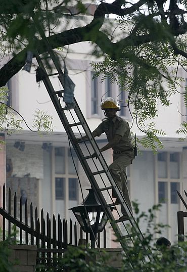 A police officer uses a ladder to climb a tree to look for evidence at the site of the Delhi HC blast