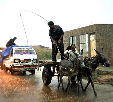 Men riding on a donkey cart ride through monsoon rains in the Tando Allahyar district of Pakistan's Sindh province