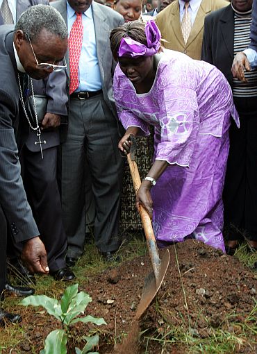 File photograph of Maathai planting a tree at Nairobi