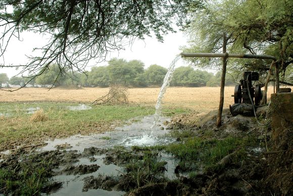 A diesel-fuelled pump is used to irrigate a field near Bharatpur