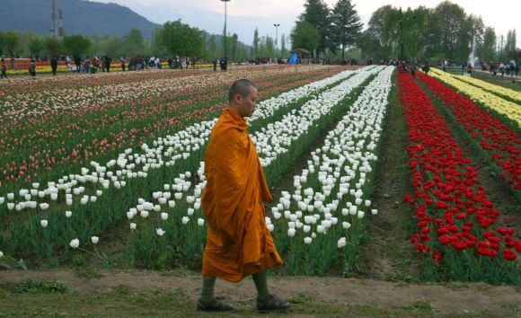 A Buddhist monk is seen among the visitors at the beautiful tulip garden in Kashmir