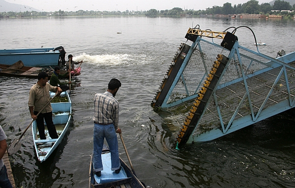 Government labourers clearing dead fish from the lake