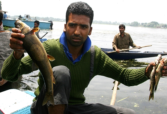 A boatman holds up dead fish