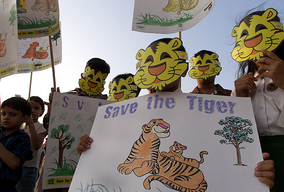 Children hold placards during a human chain as part of the 'Save the Tiger' campaign in Mumbai