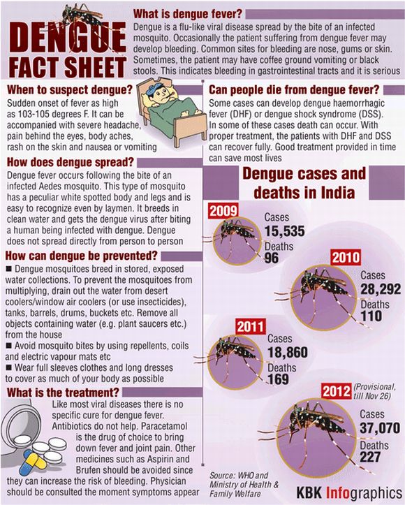 Dengue most deadly in 2012