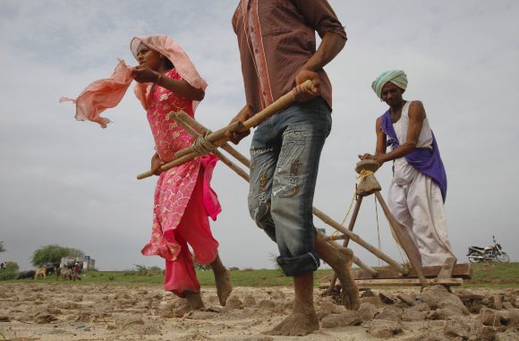 Farmers plough a field before sowing cotton seeds in Kayla village in Gujarat