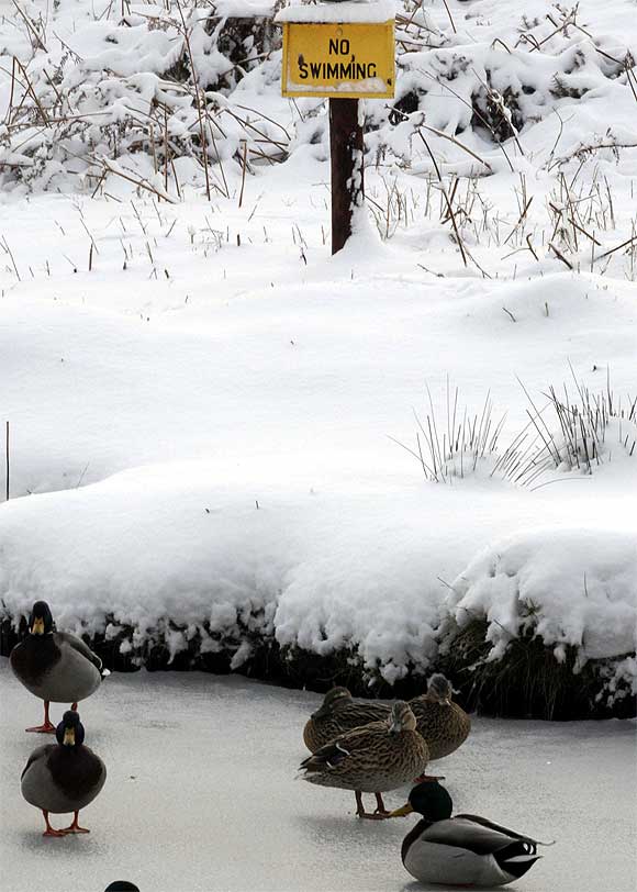 The BIG freeze grips Europe