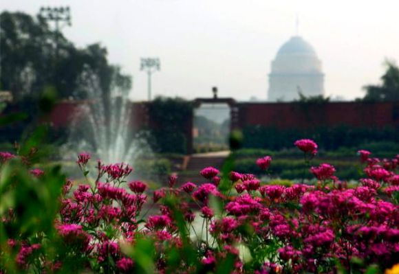 MUST SEE: President's regal garden in full bloom!