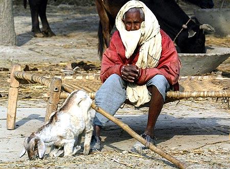 A Dalit man on the outskirts of Lucknow