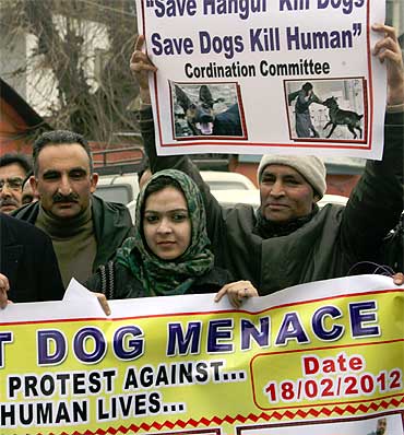 In Srinagar, an angry protest with a difference