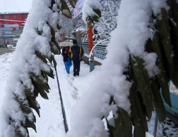 Heavy snowfall whitewashes Kashmir