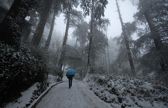 A man carrying an umbrella walks amid heavy snowfall in Shimla.