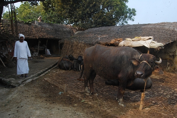 A villager from nearby Rajapur