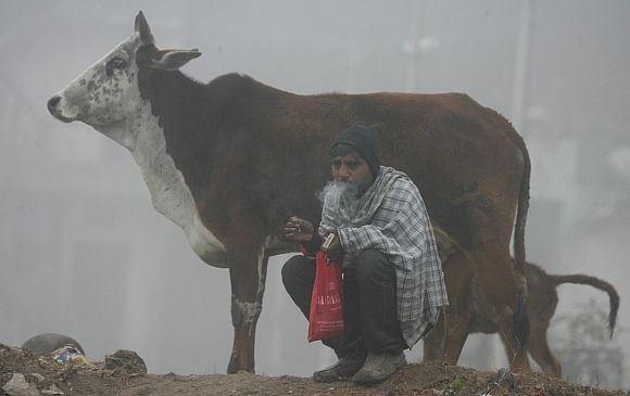 PHOTOS: North India freezes in cold wave
