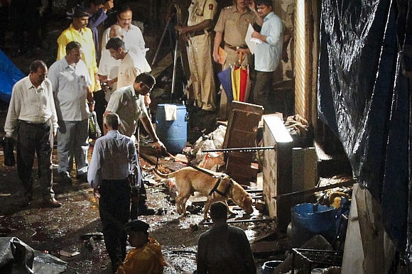 Police use a sniffer dog at the site of an explosion in the Zaveri Bazaar, south Mumbai July 13, 2011