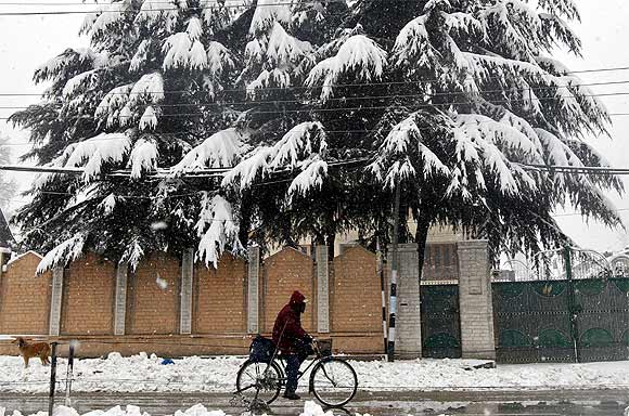 A man cycles past trees covered with snow during snowfall in Srinagar