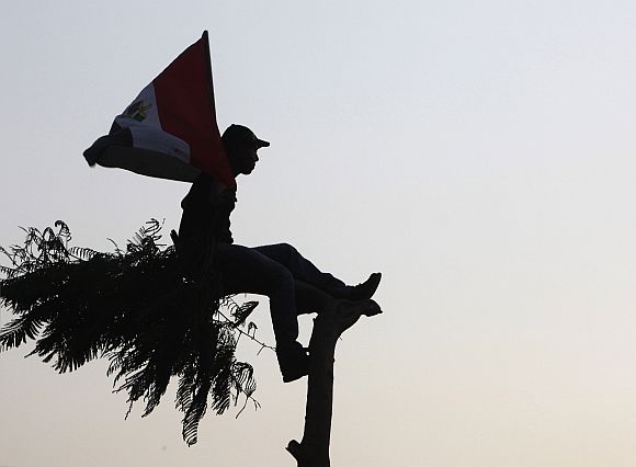 A protester holds an Egyptian flag while sitting on a tree at Tahrir square in Cairo