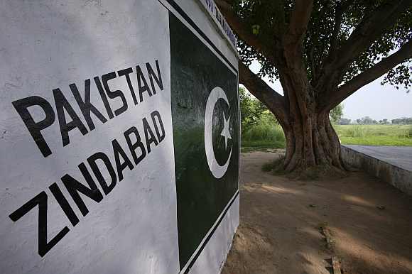 A banyan tree, which Border Security Force officials said grows on the India and Pakistan border in Suchetgarh, is seen southwest of Jammu