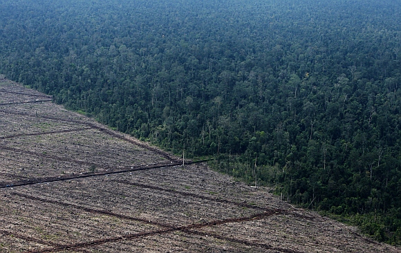 A view of deforestation on Indonesia's Sumatra island