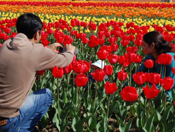 PHOTOS: A flowery delight at Srinagar tulip garden