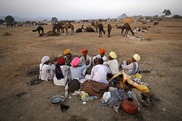 IN PICS: World's LARGEST camel fair in Pushkar