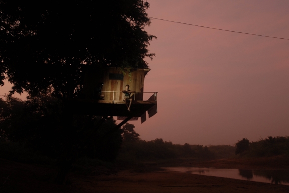 Greenpeace activist Brikesh Singh in the tree-house