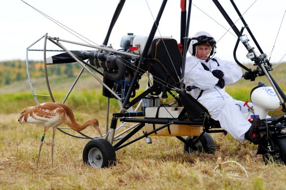Russian President Vladimir Putin looks at a crane as he sits in a motorised deltaplane
