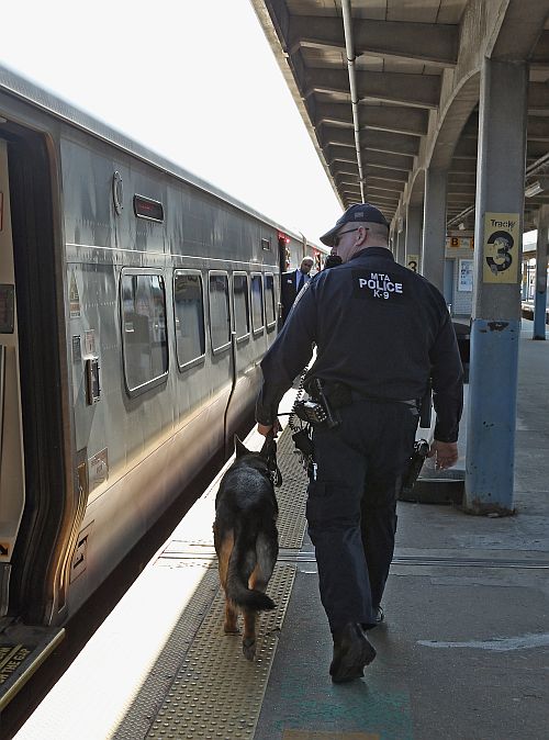 A police officer with his K-9 companion keeps guard as a Long Island Rail Road train from New York City arrives at the station on April 15, 2013 in Hicksville