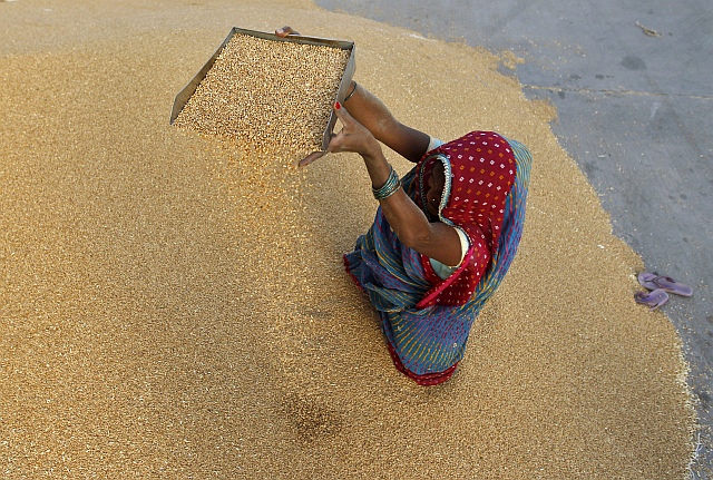  A woman winnows wheat crop at a wholesale grain market on the outskirts of the western Indian city of Ahmedabad