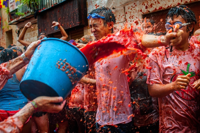 The TOMATINA album: World's biggest food fight, now at a price