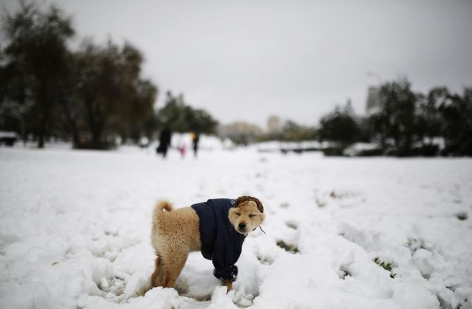PHOTOS: It's an unusual December in the Middle East