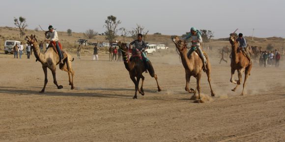 PHOTOS: Bikaner's camels get a buzz cut for festival