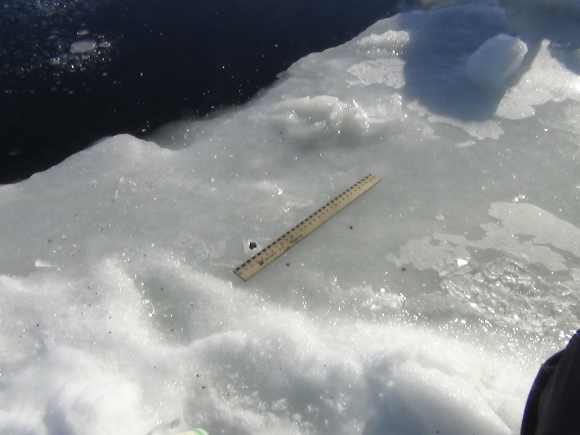 A ruler is used to examine fragments said by the interior ministry department for Chelyabinsk region to be from a meteorite, near an ice hole on lake Chebarkul some 80 kilometers west of Chelyabinsk