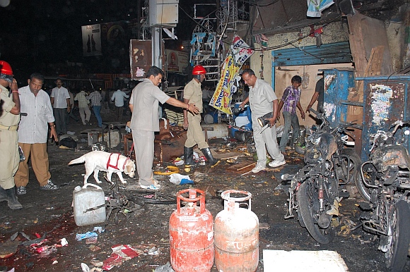 The canine squad at one of the blast sites