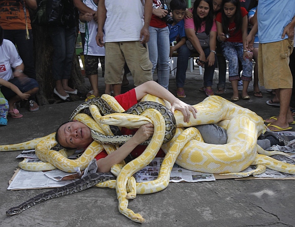 IN PICS: It's an odd, crazy world out there