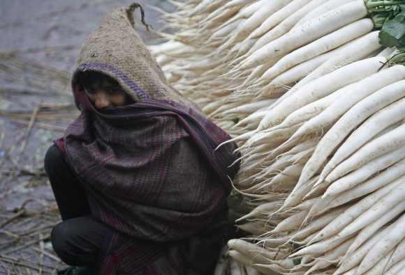 A boy covers himself with a shawl next to a heap of radishes on a cold winter day at a vegetable wholesale market in Chandigarh