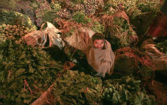 A youth sits amid a heap of vegetables at a wholesale vegetable market on a cold morning in Jammu