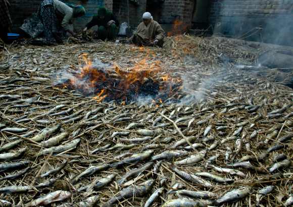 Kashmiri women prepare smoked fish often consumed in winters to keep them warm