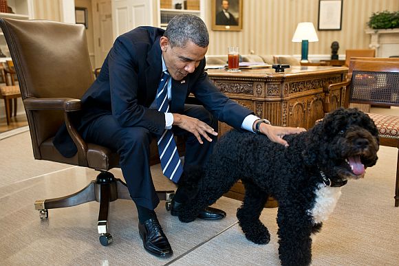 Barack Obama, the COOLEST president