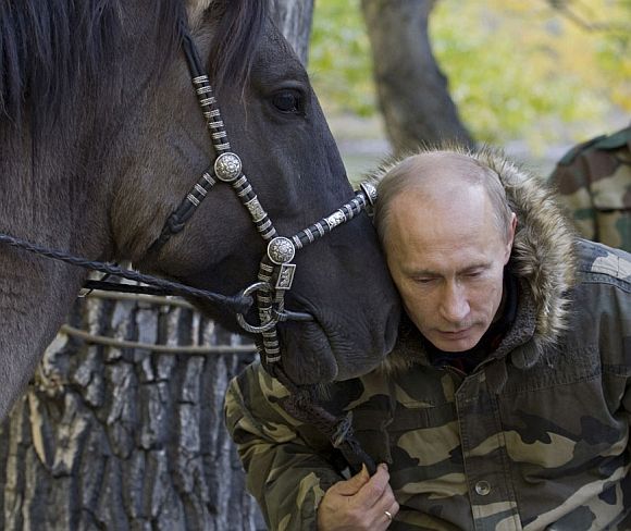 The Adventures of Vladimir Putin