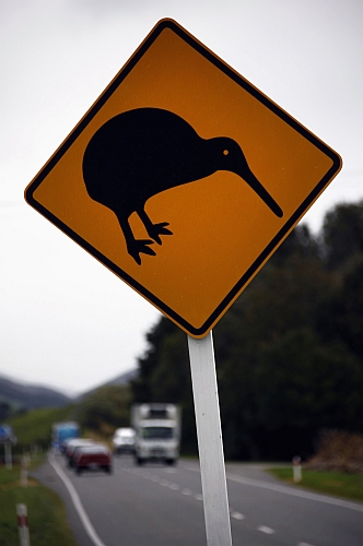 A sign alerting drivers to the presence of Kiwi birds is pictured on a road on the outskirts of Wellington