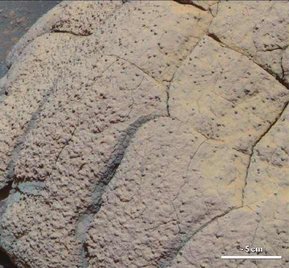 This image shows a  'Wopmay' rock in Mar's Endurance Crater, Meridiani Planum