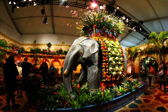Colours of South Asia in NY's famed Macy's Flower Show