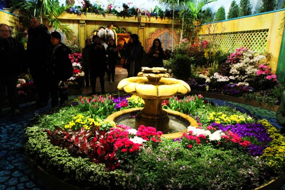 Colours of South Asia in NY's famed Macy's Flower Show