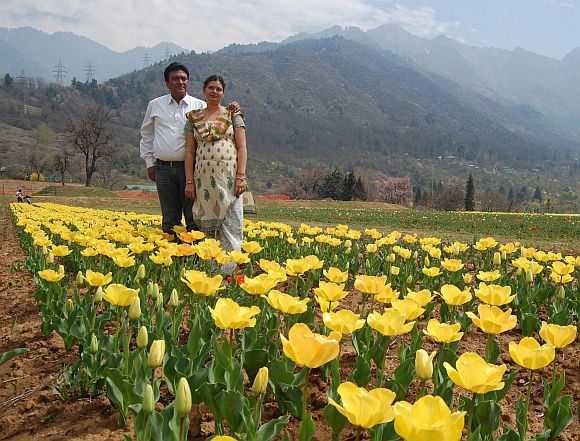 Inside Kashmir's breathtaking tulip garden