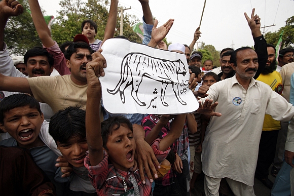 A boy holds up a picture of a tiger, the election symbol of the PML-N, as the party's supporters celebrate after the results of the general election in Lahore